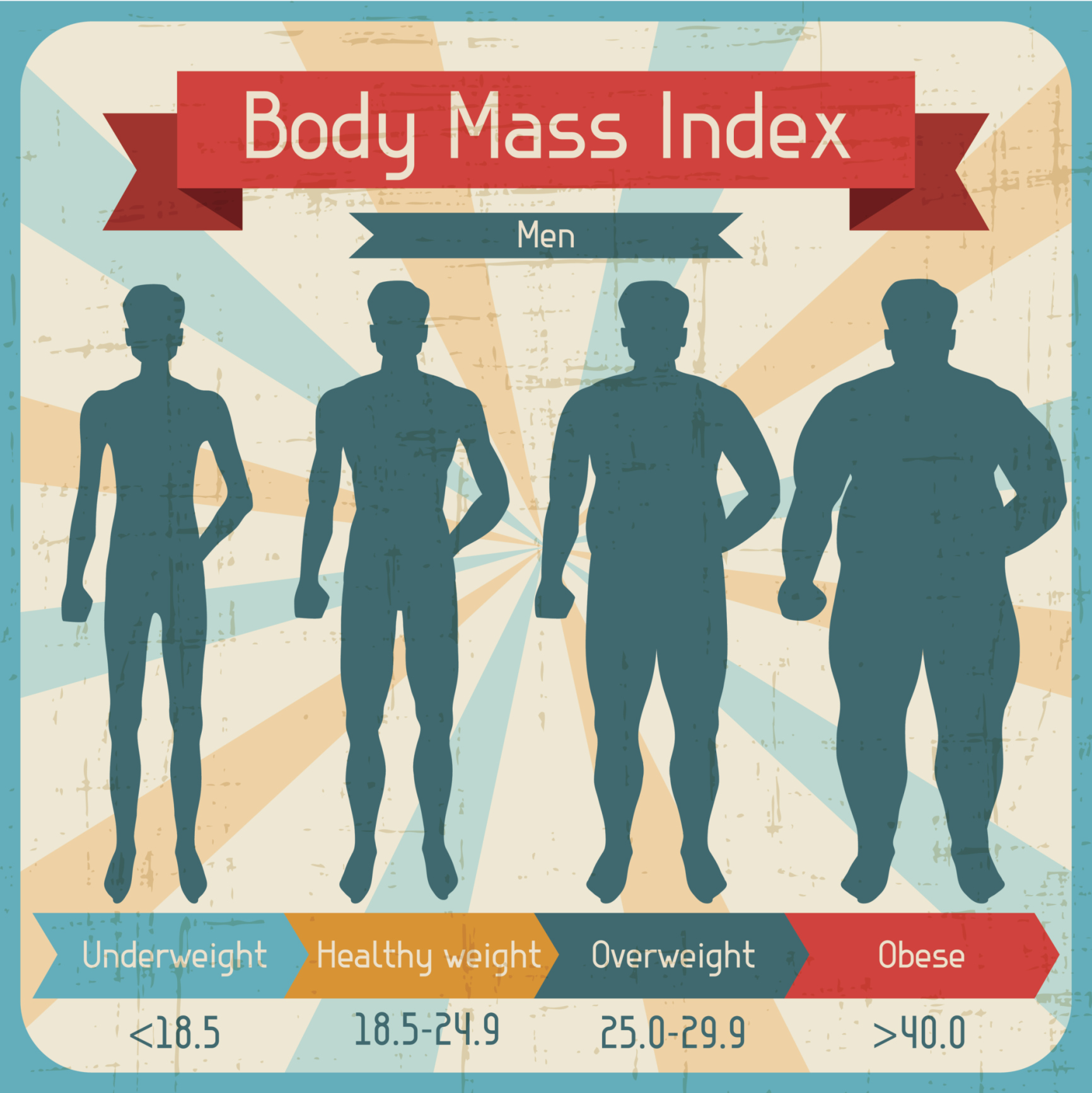Fat Body Mass Index 13